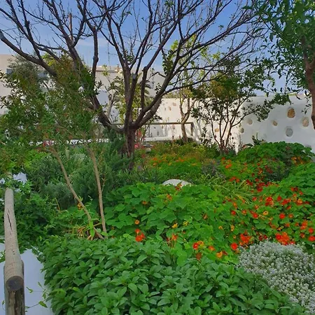 Ermis Koufonissi Appartement Koufonisia