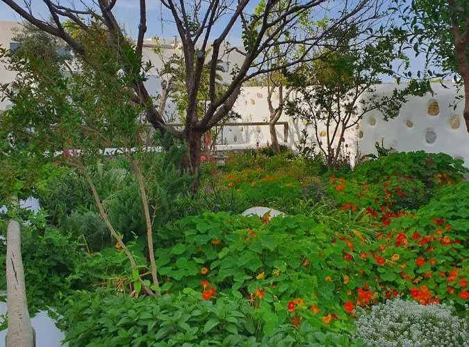 Ermis Koufonissi Appartement Koufonisia